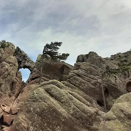 Cote Est Petit Dejeuner Bed & Breakfast Pancheraccia