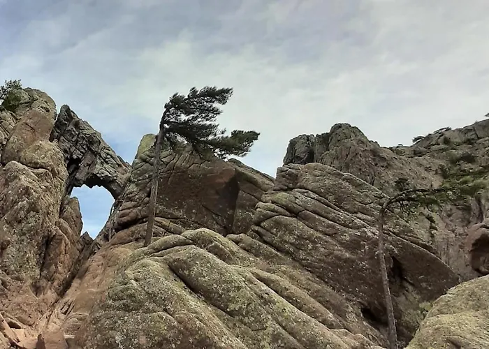 Cote Est Petit Dejeuner فندق مبيت وإفطار Pancheraccia